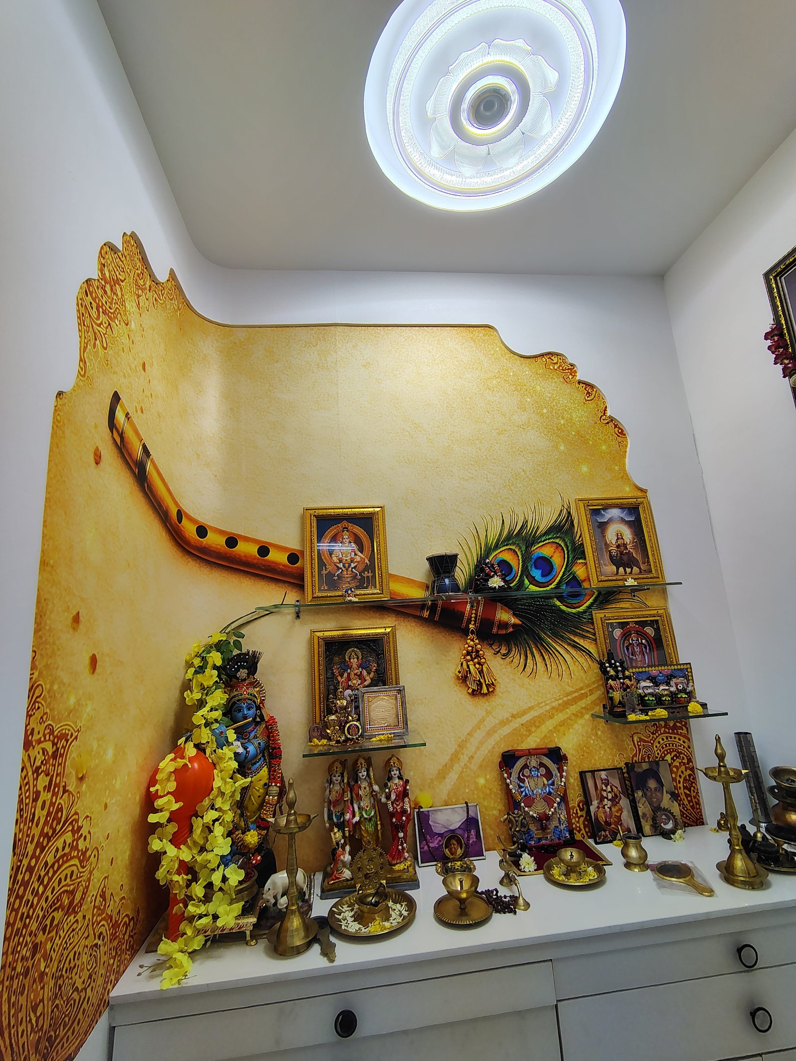 Vrindavan project — photo 3